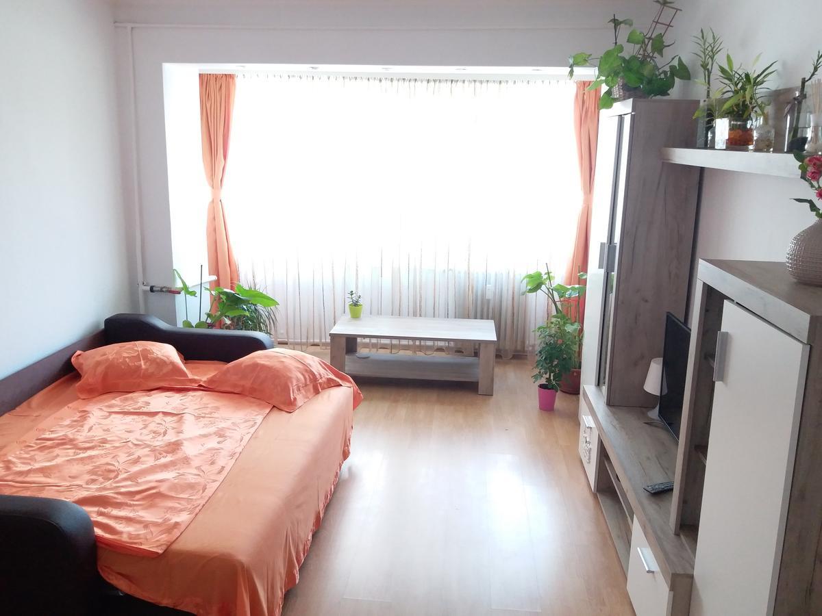 דירות קונסטנצה Apartament Anca מראה חיצוני תמונה